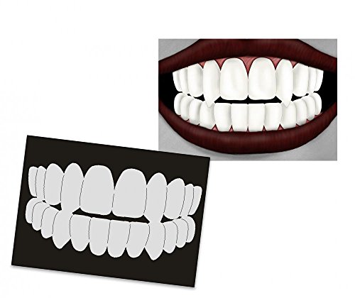 UMR-Design AS-203 Thooth - Smile Pochoir pour Aérographe Singlestep Size S