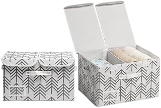 Salato Storage Baskets with Lids 42x32x26cm, 2 Pack Collapsible Storage Boxes with Lids & Printed Patterns, Large Storage Baskets with Double Lids for Shelves, Beige