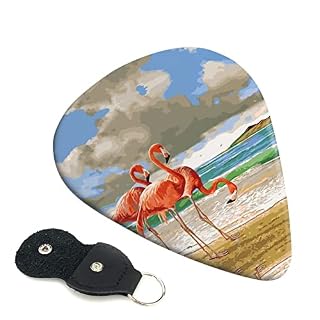Flamingo Beach Lot de 6 médiators pour guitare acoustique, guitare électrique, basse, ukulélé – fin, moyen et épais - Les Beatles, Paul McCartney, John Lennon, RIngo Starr, George Harrison
