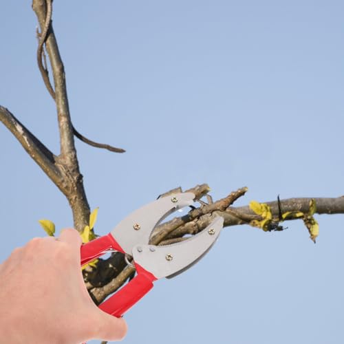 Herramienta ajustable para poda de árboles frutales miniatura 6