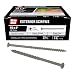 Grip-Rite PTN4S1 4-Inch 10 Coarse Thread Exterior Screw with Bugle Head, 1 Pound