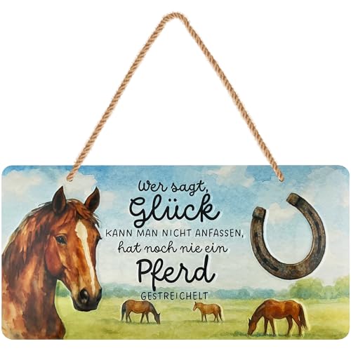 LANOLU retro Blechschild Spruch Schild Pferd Glück anfassen Geschenk für Pferdebesitzer Reiterin Stallbesitzer geprägt gestanzt mit Jutekordel 16x32 cm