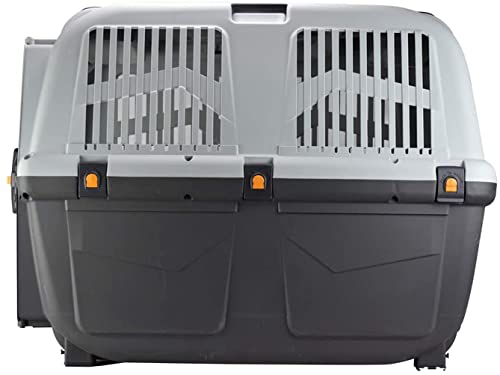 Transportbox für Hund oder Katze Skudo Iata, für den Transport im Auto zugelassen 6 grau