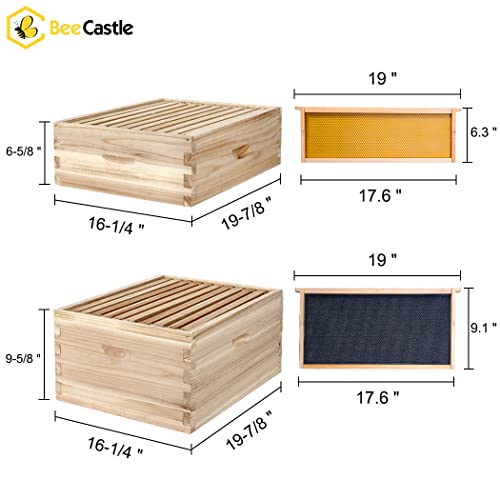 BeeCastle 10-Frame Complete Bee Hives and Supplies Starter Kit, Beehives for Beginners with Beehive Frames and Waxed Foundations (2 Deep Bee Boxes & 2 Medium Super Bee Boxes)