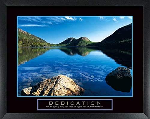 8 Framed Motivational Posters Inspirational Office Decor Collection 22X28 #TOP2