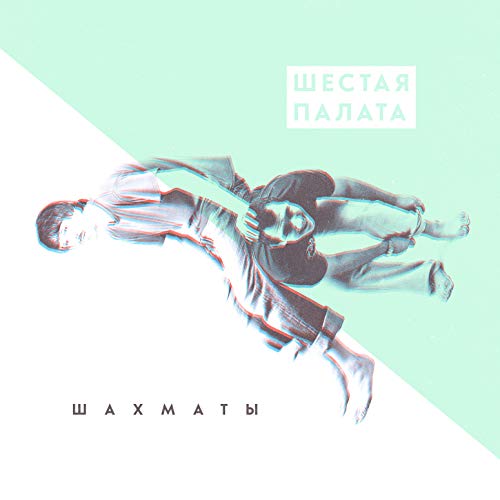 Шестая палата турбина