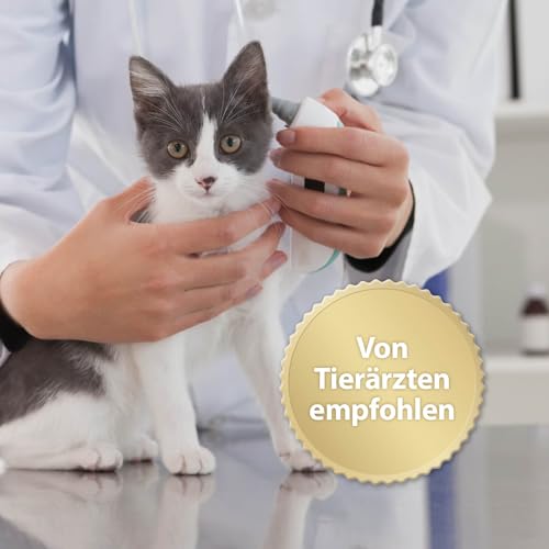 Felisept Family Comfort Starter-Set im Mehrkatzenhaushalt (Verdampfer + Flakon 45ml) - Beruhigungsmittel für Katzen - Katzen Beruhigungsmittel natürliche Katzenminze - Entspannungsmittel für Katzen