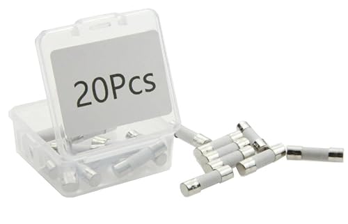 Fusibles T10A T10AH250V 0.2 x 0.79 pulgadas0.197x0.787 in Fusible de cartucho de soplado rápido 10AMP 250V Fusible de cerámica de acción rápida en