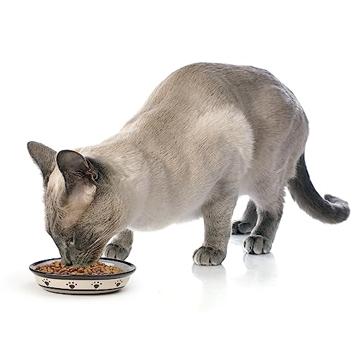 PetRageous 44247 Oval Metro Paws Stoneware Cat Bowl 6.25-Inch Wide and 1.5-Inch Tall Saucer with 1-Cup Capacity and Dishwasher and Microwave Safe for Small Dogs and Cats, Multicolored,Black - Thumbnail 5
