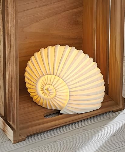 Dekoleidenschaft Dekofigur Muschel aus Porzellan, weiß, mit LED Beleuchtung, maritime Leuchtdeko, Porzellanfigur, Dekoleuchte