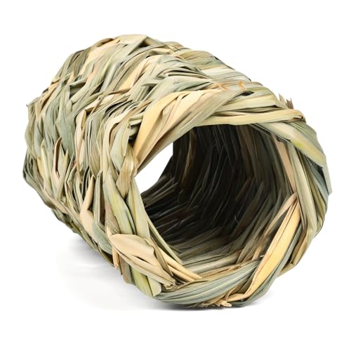 3_Zbg ̂QnEX Q Q  bg ҂݂̃i`nEX ̕҂ݕ YF VRf ETM̃gl  XgXU Vя xݏꏊ nX^[ bgtFbgbgP[WZkANZT[  