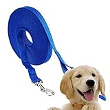 🐾 MATERIAL DE ALTA CALIDAD: la correa para perros Edipets está hecha de naylon resistente y duradero, resulta ideal para pasear con tu perro sin ningún tipo de preocupación. El Mosquetón es de acero inoxidable.