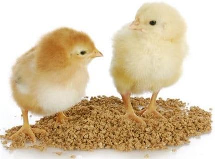 Premium Grower Baby Chicken/CHICK'S Pellet Feed (Hen,Duck, BATER, EMU & Other) (2KG Pack of 1)