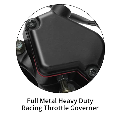WEIYINGSI Thumb Throttle with Dual Brake Lever Assy for 50cc 90cc 150cc 250cc ATV Quad Roketa Taotao Sunl Kazuma