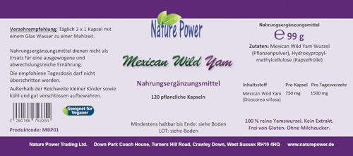 Yamswurzel Kapseln Nature Power – Mexican Wild Yam
