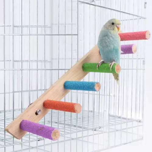 bird ladders