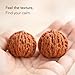 Chinese Wenwan Walnuts Fidget, Hand Massage Stress Relief Balls with Gift Box & Cleaning Brush, Traditional Walnuts for Hand Exercise, Relaxation Gifts for Men, Husband, Dad (2 Pcs)