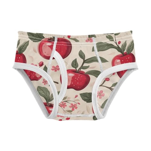 Wusikd Red Apples Cute Boys' Underwear Cotton Green Leaves Boys Briefs Soft Toddler Underwear 2T