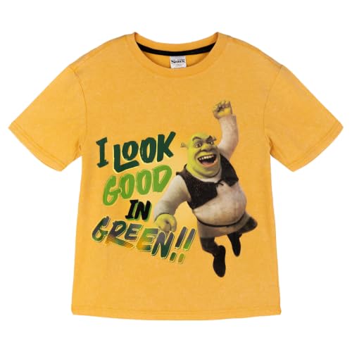 Image of DreamWorks Shrek Matching Family Short Sleeve T-Shirt
