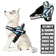 Animire Hundeweste Set
