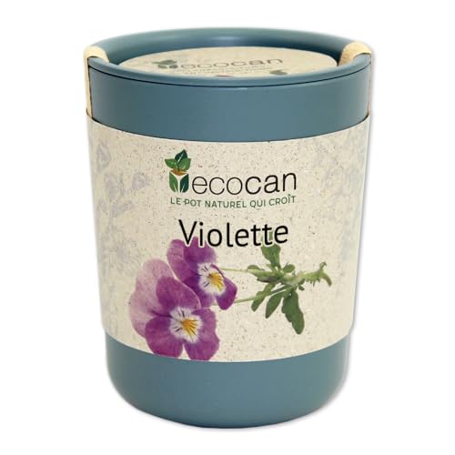 Feel Green Ecocan, Violette Certifiées Bio, Idée Cadeau (100% Biodégradable), Grow-Your-Own/Kit Prêt-à-Pousser, Le Pot Écologique Qui Croît 9 x 7 cm, Produit en Autriche