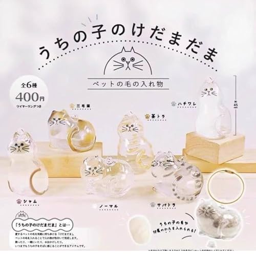 uCgN ̎q̂܂ S 6ރZbg, qƖȕt,K`K`, Ki