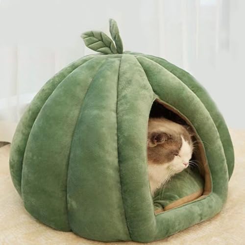 Maison de lit de chat Premium avec dôme protecteur et coussin doux - 4