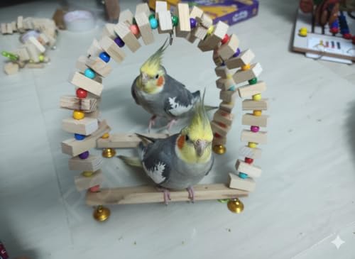 Image of Raindrops Wooden Swing with Colourful Beads for Bird Cages|Birds Stress Free Items|Cage Accessories|Wooden Ladder|Swing with Dotted Perch|Birds Chew Toy|Training aid Toy (Height 25.5cm-Pack of 2)