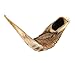 Jewish Ram Horn Shofar 21