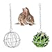 Andiker Lot de 2 boules de foin pour lapin - 9 cm - En acier inoxydable - Multifonctionnel - Rotatif - Pour petits animaux tels que lapins, chinchillas et cochons d'Inde - Pour gestion du foin