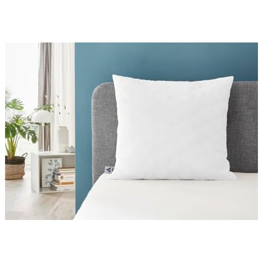 Irisette Edition Kopfkissen, Microfaser, 80 x 80 cm, weiß, Öko-Tex zertifiziert, produziert nach deutschem Qualitätsstandard 4 Badenia Irisette Micro Thermo Kopfkissen, Microfaser, 80 x 80 cm, weiß, Öko-Tex zertifiziert, produziert nach deutschem Qualitätsstandard