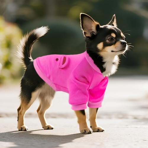 Image of Rose Cute Dog Sweater Soft Winter Clothes for Small Dogs, XS