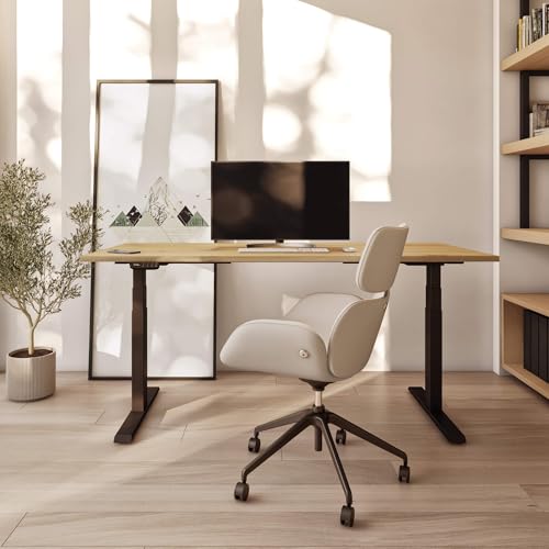 Hausfux Höhenverstellbarer Schreibtisch auf Maß - inkl. 2,5 cm starker, maßgefertigter Tischplatte - 2- oder 3-stufiges Gestell, OLED-Touchpanel (Vulkan Schwarz & Schwarz, 2-stufig, 110 x 60 cm)