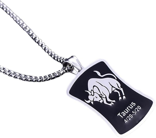 HIJONES Women Men's 12 Constellation Horoscope Square Tag Pendant Necklace Stainless Steel Birth Star Sign Personalized Pendant Chain Jewelry