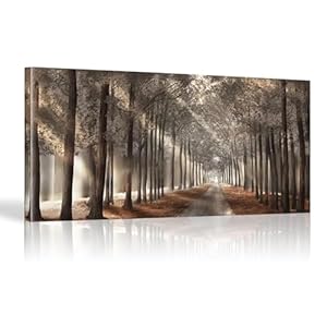 YIUEYI Natuur muurkunst Scandinavische zonneschijn schaduw bomen canvas schilderij poster, landschap bospad muurkunst foto’s prints voor huisdecoratie 28 x 55 inch – 70 x 140 cm houten lijst