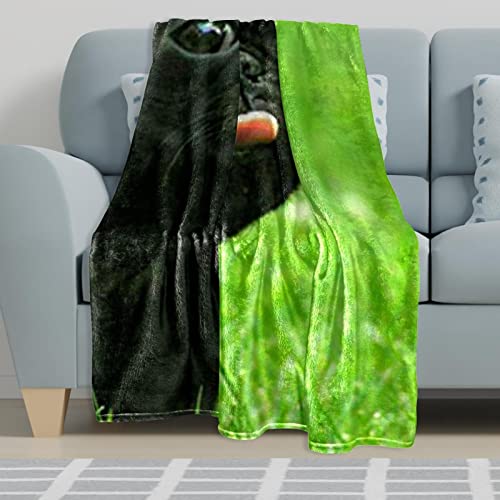 Couverture de sieste en microfibre chien noir pour canapé