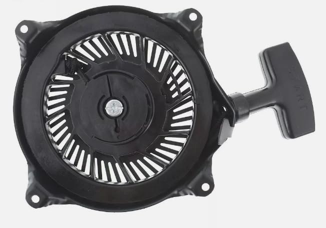 Rewind Pull Starter Modèle 497830 Compatible Avec Les Modèles De Moteur