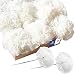 Royal Imports 100 White Silk Carnations, Artificial Fake Flower Bouquets, Weddings, Cemetery, Crafts & Wreaths, 5" Stem Pick (Bulk)