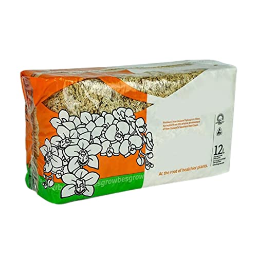 Sphagnum Seco, Musgo Seco De 150 G/Bolsa para Reptiles, Ropa De Cama Y Suministros para Mascotas De Terrario, Sphagnum Seco, Musgo Seco, Musgo Seco para Reptiles Cover