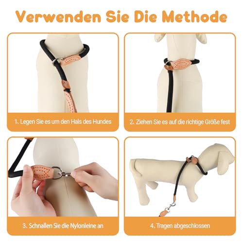 2 STK Freestyle Dressurhalsung Set, Zugstopp Halsband und Hundeleine Set,1.4 cm Retriever Halsband Hundeleine,Robustem Nylon Trainingshalsband Hund, Lederimitat mit Metallring
