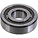 SKF NJ304ECP Auto Part