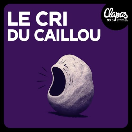 Michael DELAFOSSE, Maire de Montpellier