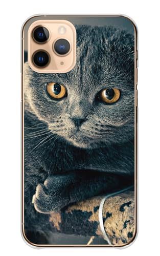 Redmi Note 10T �p �P�[�X ���b�h�~�[�m�[�g 10T �X�}�z�P�[�X �n�[�h�P�[�X �n�[�h �L �ʐ^ �l�R �o�C�J���[ �J���[01