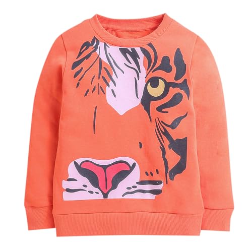 Image of Hopscotch Boys Cotton Round Neck Sweatshirts