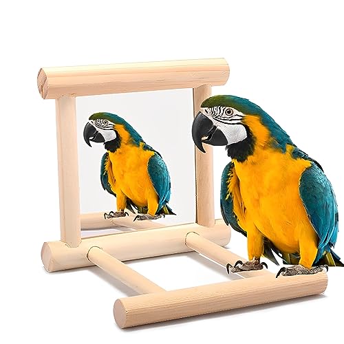 Bird Stand Perch with Bird Mirror, Bird Swing for Parrot Cage Wooden Hanging Toys, Bird Cage Accessories for Parakeet Cockatoo, Macaws, Budgies, Cockatoos, Lovebird