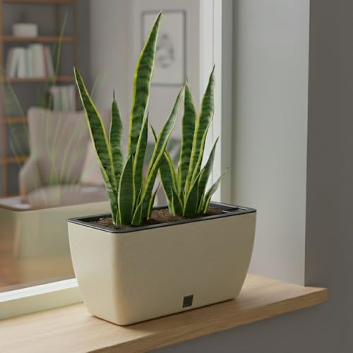 Image of GARDENCIA Self Watering Flower Pots for Outdoor Indoor Gardening /Rectangle Big Plant Pot with Polypropylene UV Material /Decorative Modern Gamla (Pack of 1, Recta Big Stone Cream)