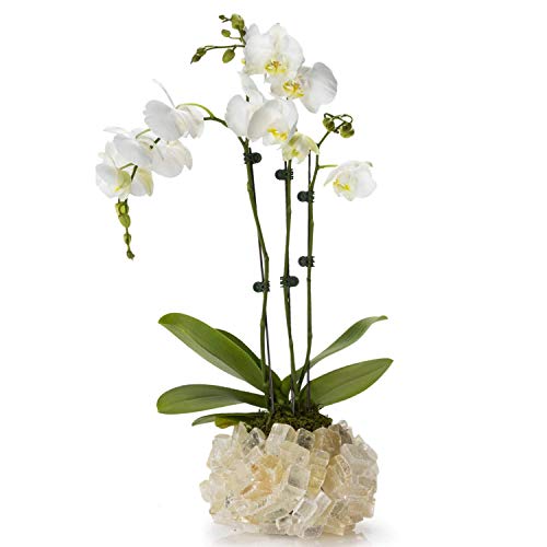 KALIFANO Natural Orange Calcite Cluster Crystal Vase - Handmade Decorative High Energy Elestial Geode with Healing Effects