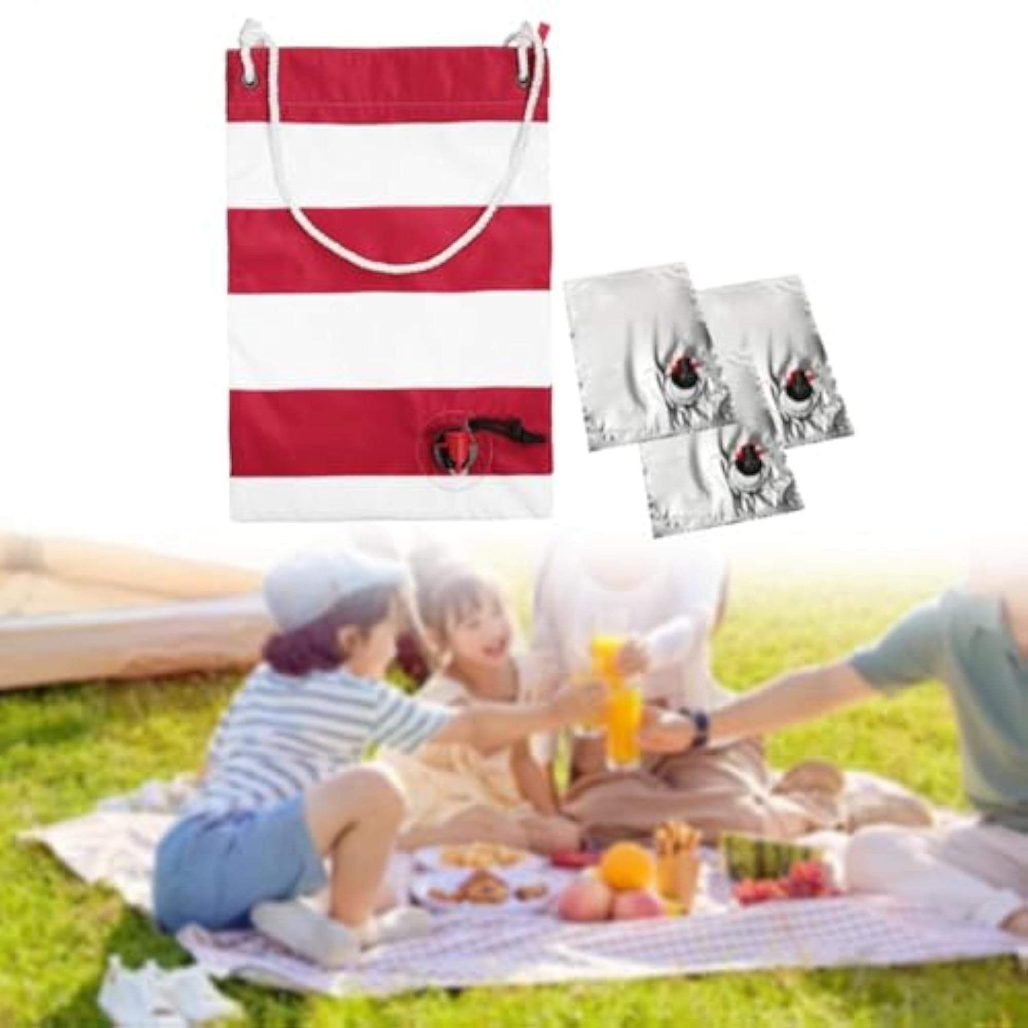 Reusable Wine Carrier Bag for Movie Theaters & Concerts