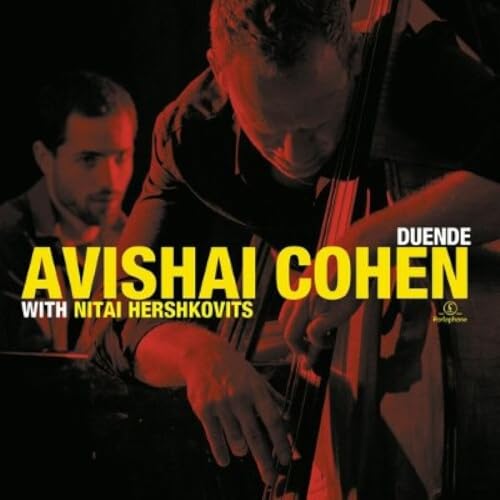 UN JOUR UN DISQUE #657 AVISHAI COHEN