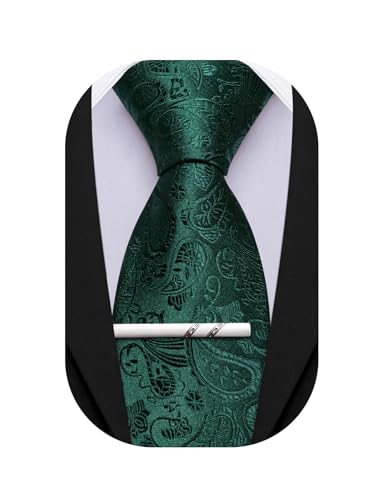 Image of Barry.Wang Paisley Tie for Men Silk Woven Necktie and Tie Clip Set Wedding Party Business Formal